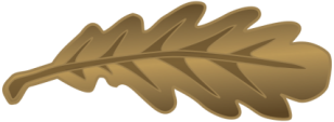 Mentioned in despatches Mentioned in despatches