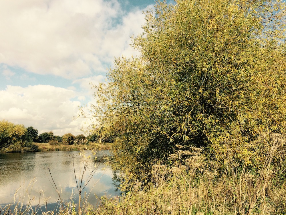 River at Radcliffe on Trent