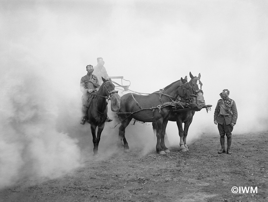 Horses in gas masks