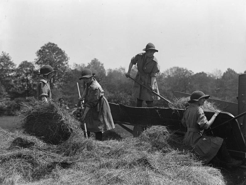 womens-land-army-forage-corps-feed-hay-baler-on-british-farm Womens forage corps