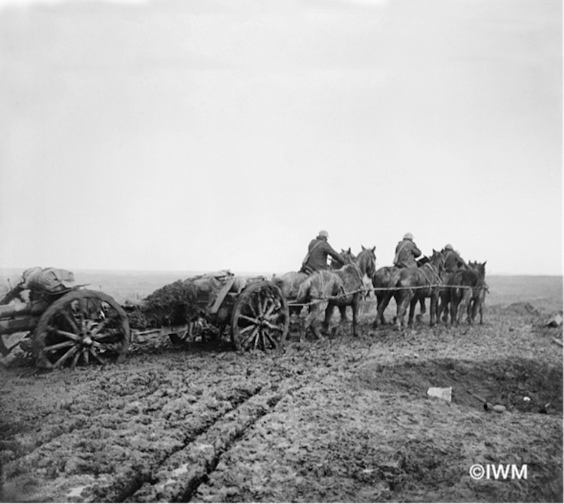 Team of horses pulling howitzer