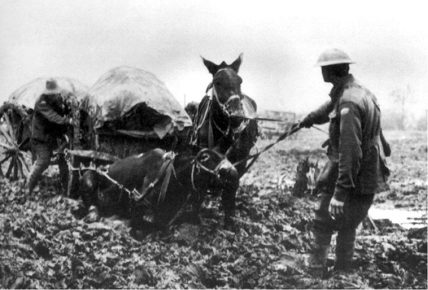 Bringing supplies through the mud